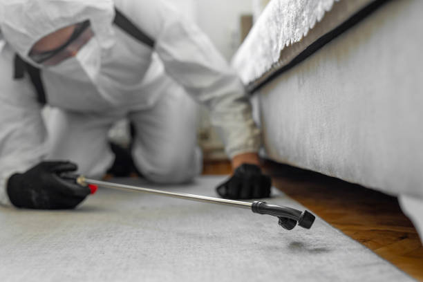 Professional Termite Control technician working in Galveston, IN