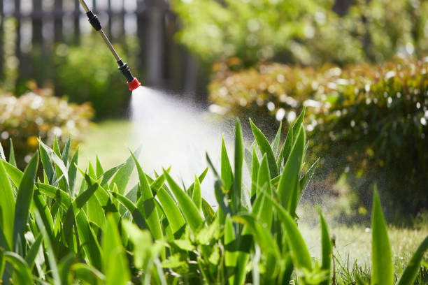 24/7 Emergency Termite Control experts in Galveston, IN